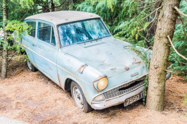 Universal Studios Tema parkı Osaka