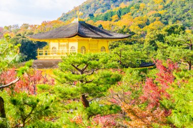 Kinkakuji tapınak altın köşk