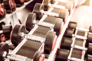 demir dumbbells vasıl jimnastik salonu