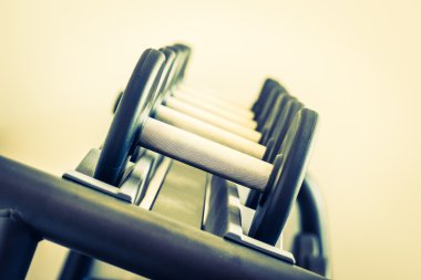 demir dumbbells vasıl jimnastik salonu