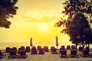 Sahilde şemsiyeler ve sandalyeler