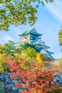 Güzel mimari Osaka Kalesi