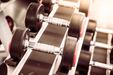 demir dumbbells vasıl jimnastik salonu