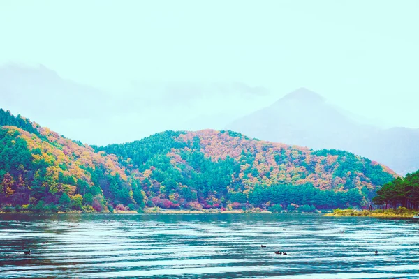 Красивое озеро Кавагутико — стоковое фото