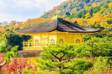 Kinkakuji tapınak altın köşk