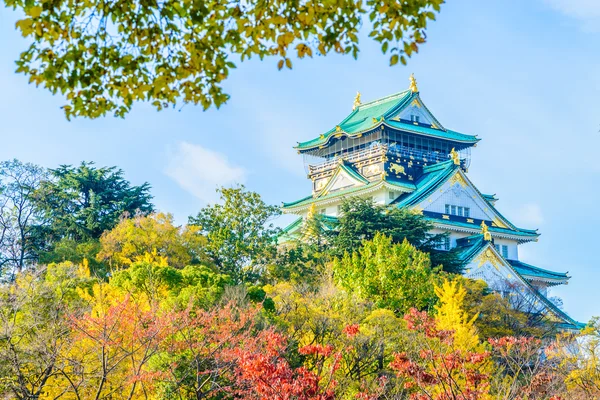 Beautiful Architecture Osaka castle — Stock Photo, Image