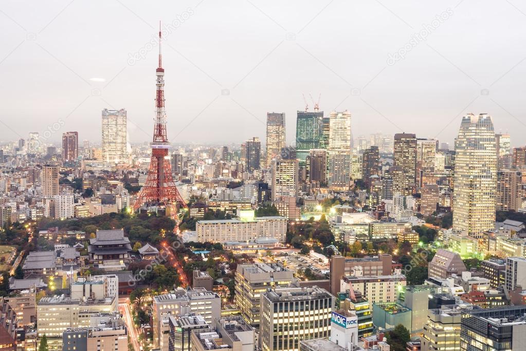 Tokyo skyline city