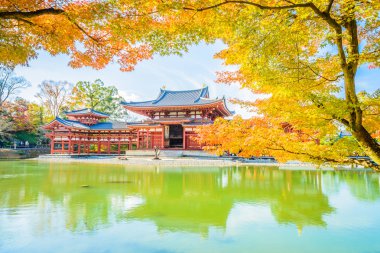 Byodo içinde güzel Tapınağı