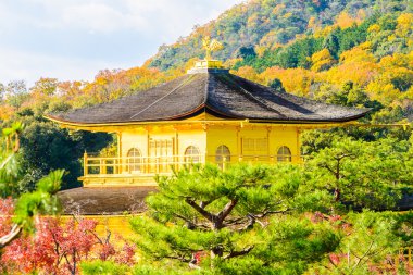 Kinkakuji tapınak altın köşk