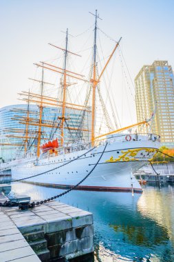 Yokohama, Japonya - Kasım 24: Nippon Maru tekne Yokohama