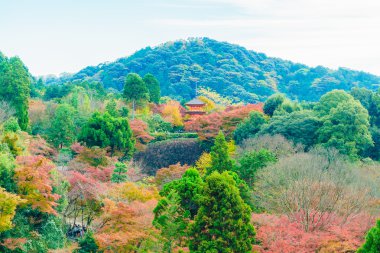 Kiyomizu tapınağında güzel mimari