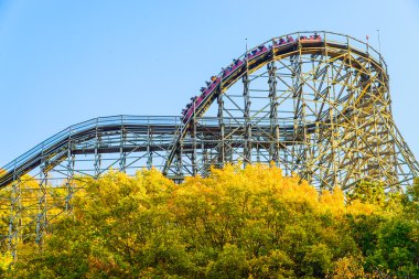 Şaşırtıcı Roller coaster