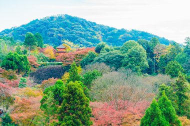 Kiyomizu tapınağında güzel mimari