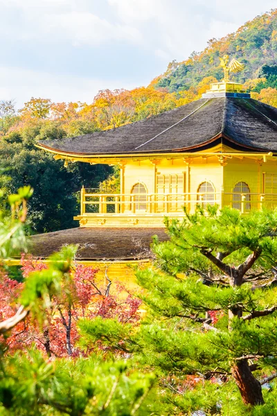 Golden pavillion in Kinkakuji Temple — Stock Photo, Image
