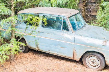 Universal Studios Tema Parkı