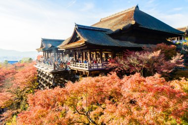 Kiyomizu Dera Tapınağı Kyoto