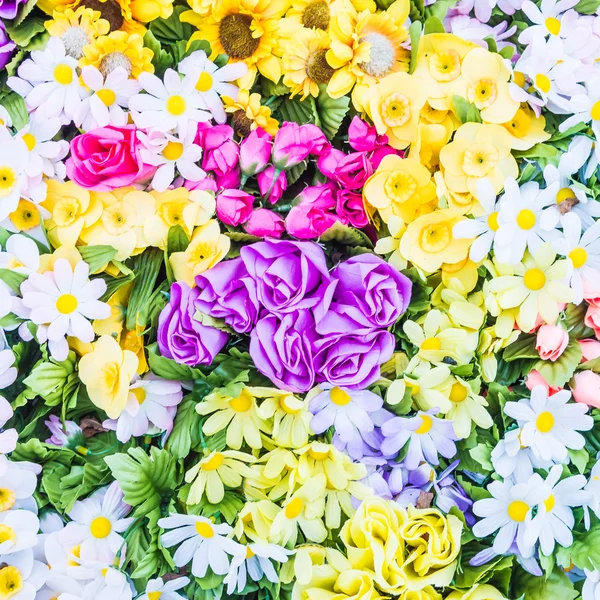 Beautiful and colorful flowers — Stock Photo, Image