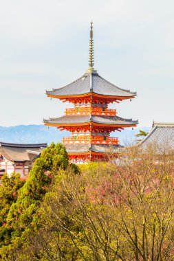 Kiyomizu Dera Tapınağı Kyoto