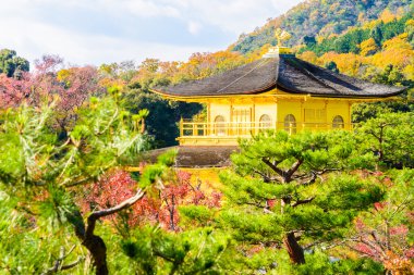 Kinkakuji tapınak altın köşk