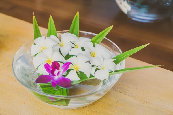 Schöne Blumen in Schale — Stockfoto