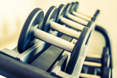 Halter fitness ve spor salonunda