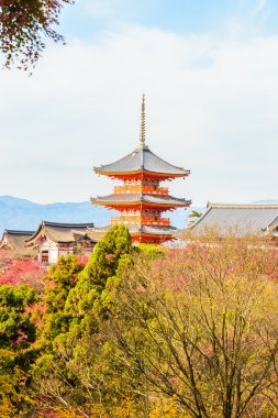 Kiyomizu Dera Tapınağı Kyoto