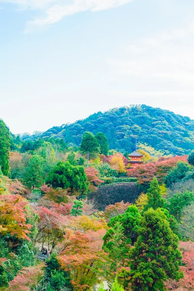 Αρχιτεκτονική στο Kiyomizu ναό στο Κυότο — Φωτογραφία Αρχείου