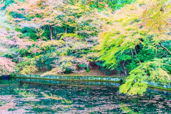 Temporada de otoño en Japón — Foto de Stock
