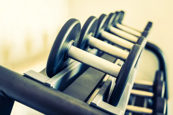 Halter apparatuur in fitness gym — Stockfoto