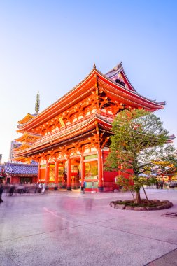 Sensoji Tapınağı alacakaranlık zamanları