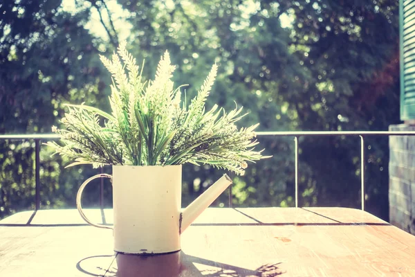 Vase Pflanzendekoration mit Blick nach draußen — Stockfoto
