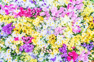 renkli çiçekler arka plan