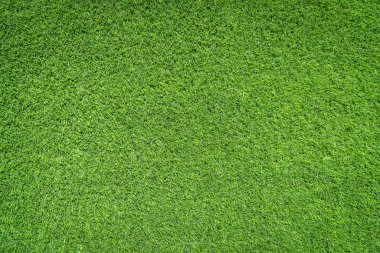 Yeşil çimen dokular