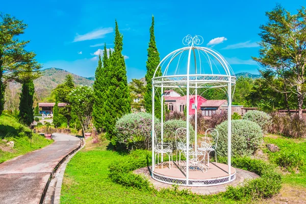 Hermoso jardín parque —  Fotos de Stock