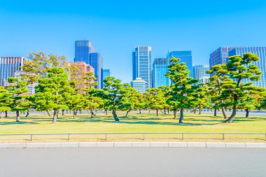 Tokyo cityscape manzarası