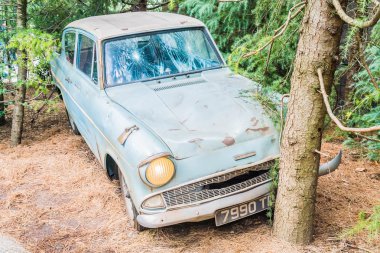 Universal Studios Tema Parkı