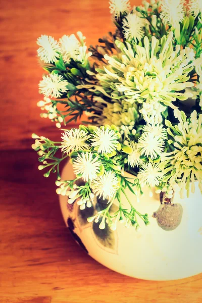 Vase plant decoration — Stock Photo, Image