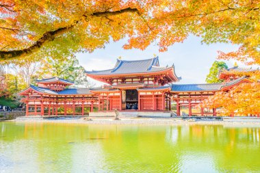 Byodo içinde güzel Tapınağı