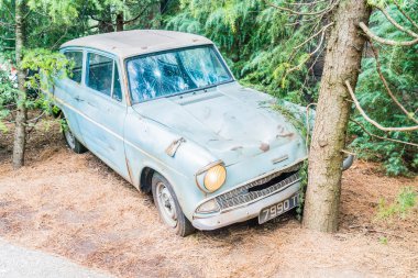 Universal Studios Tema Parkı