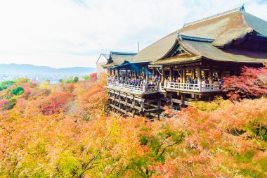 Kiyomizu tapınağında güzel mimari