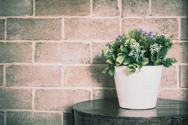 Vase plant in room — Stock Photo, Image