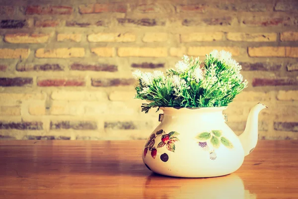 Vase plant in room — Stock Photo, Image