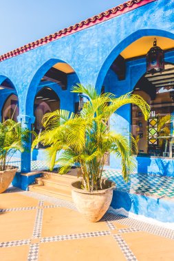 Vazo bitki dekorasyon