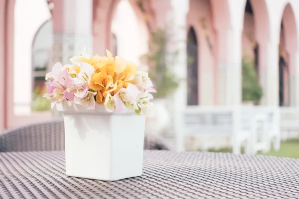 ブーゲンビリアの花の花瓶 — ストック写真