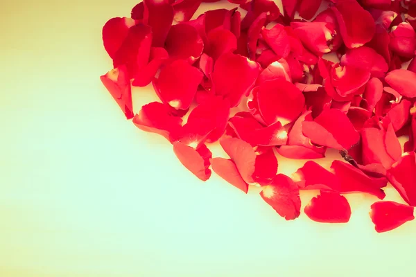 Bunga mawar vintage — Stok Foto