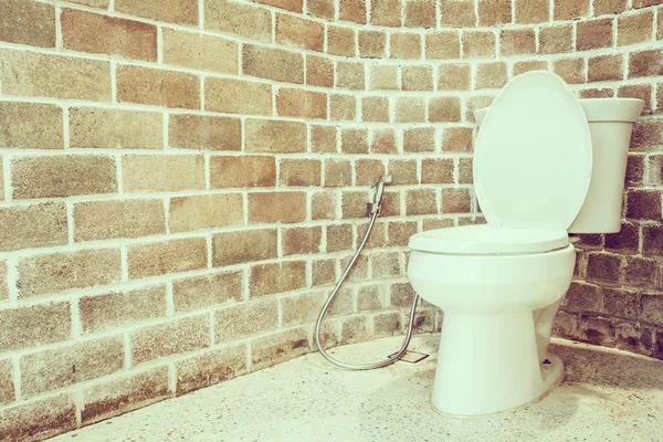 トイレの部屋のインテリア — ストック写真