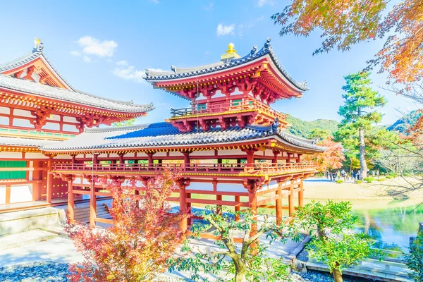 Magnifique temple Byodo-in — Photo