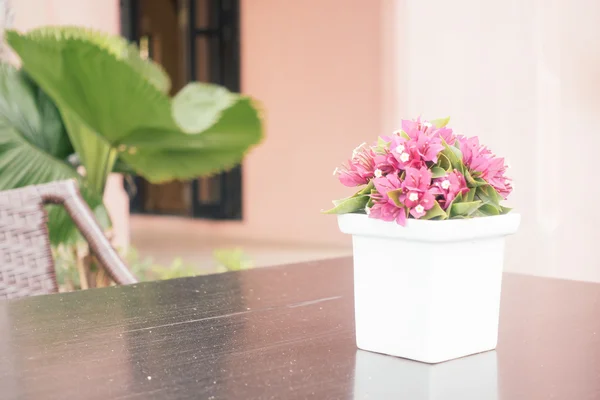 Bougainvillea flower in vase — Stock Photo, Image