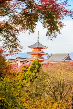 Kiyomizu Dera Tapınağı Kyoto