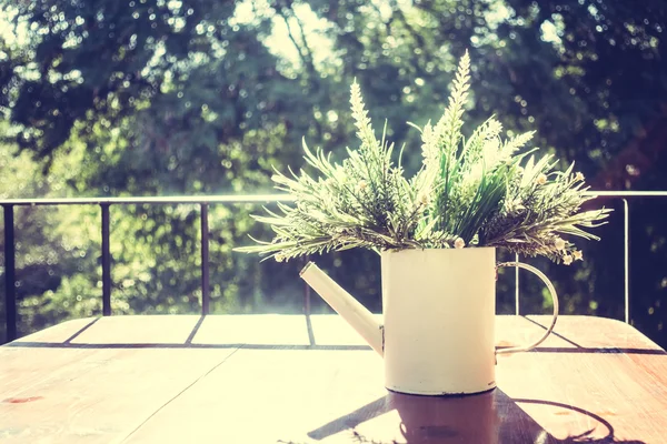 Planta florero con vista al aire libre —  Fotos de Stock